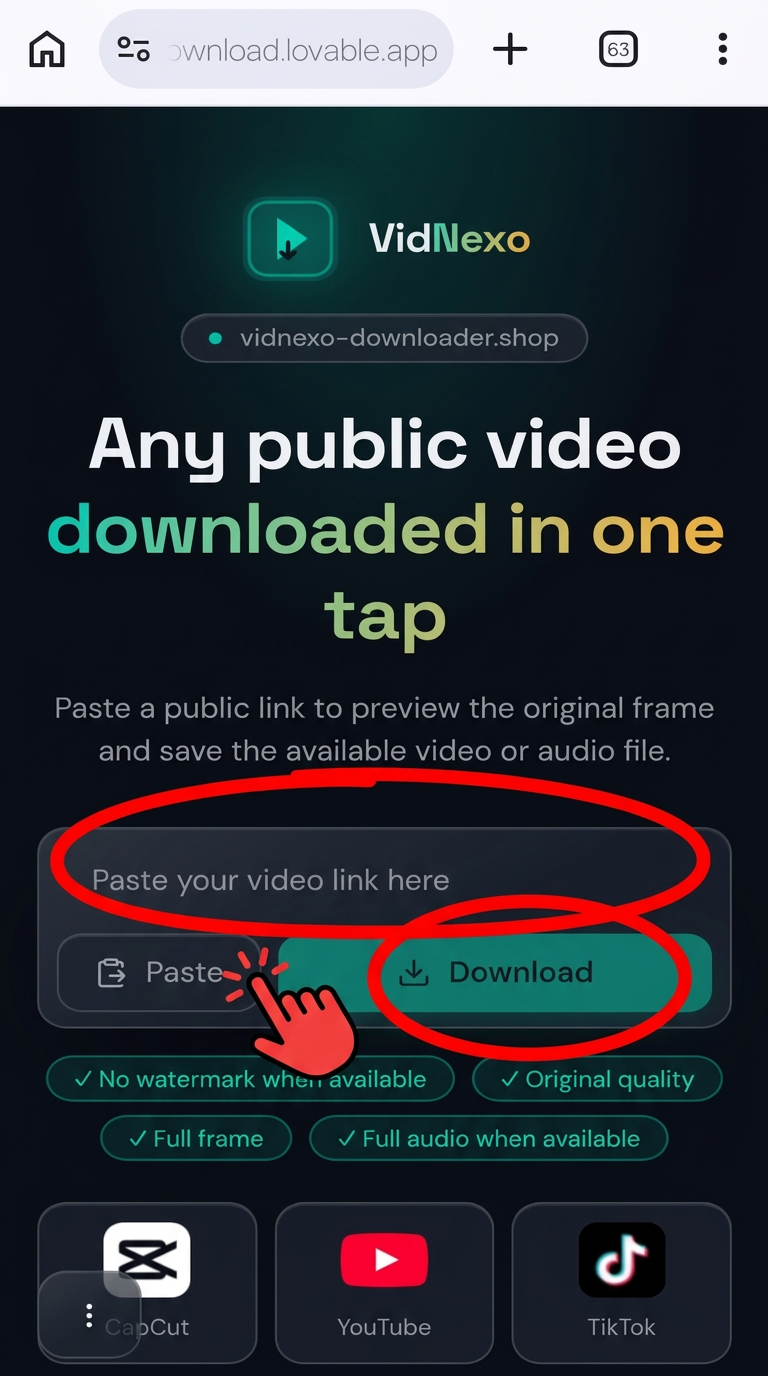 Paste the link & tap Download